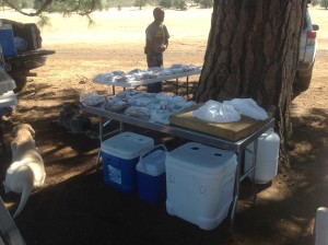 IMG_0068